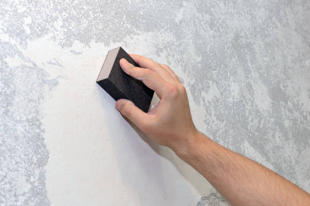 Best HVAC Mold Inspection and Cleaning  in Freeland, WA