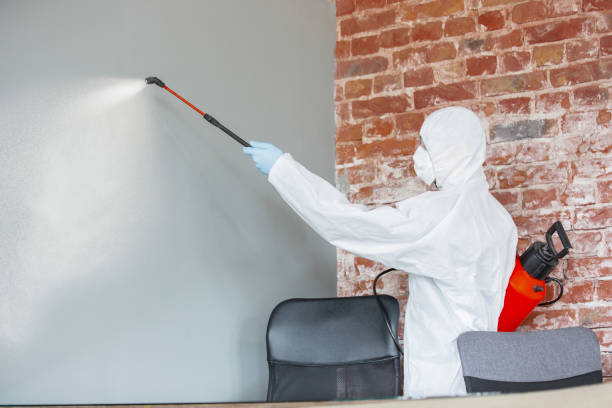 Best Airborne Mold Testing  in Freeland, WA