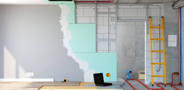 Best Biohazard Mold Removal  in Freeland, WA
